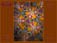 /album/optospaces/cena11092025-jpg/