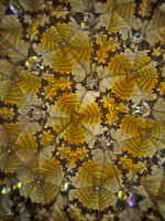 /album/optospaces/pp-letokruhy20052025-72fbw-jpg/