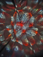 /album/optospaces/pp-ruda18092025-72fbw-jpg/