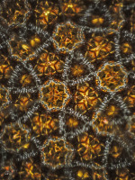 /album/optospaces/pp-chvenihvezd17102025-72fbw-jpg/