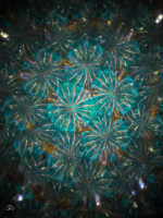 /album/optospaces/pp-modrohvezdy18112025-72fbw-jpg/