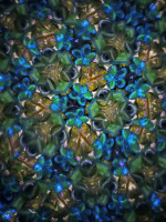 /album/optospaces/pp-modrozel08092025-72fbw-jpg/