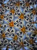 /album/optospaces/pp-triangles25122025-72fbw-jpg/