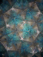 /album/optospaces/pp-vasar18112025-72fbw-jpg/