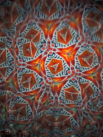 /album/optospaces/pp-kmenove28032026-72fbw-jpg/