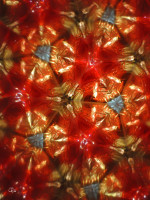 /album/optospaces/pp-neverici-01082026-72fbw-jpg/