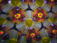 /album/optospaces/pp-nepravipravidel03042024-72fbw-jpg/
