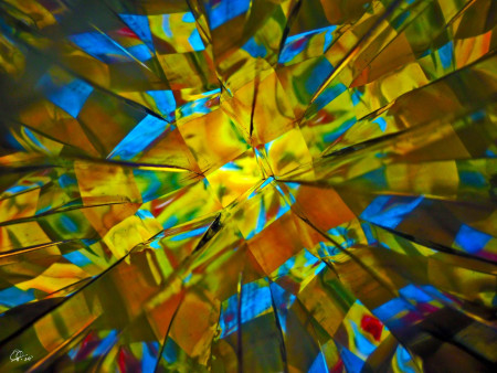 "What a colourful world..." / "Jaký to barevný svět..."