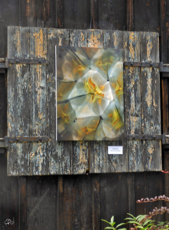 From one day collective exhibition ON THE WALL, 11.07.2025, Brno. "Meanwhile in Vaticane".