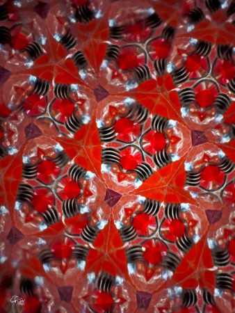 "Inside my body..."/"Uvnitř mého těla..."