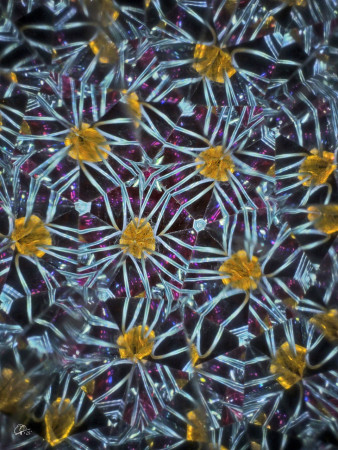 "The stars fall in geometric rhythm..." / "Hvězdy padají v geometrickém rytmu..." 