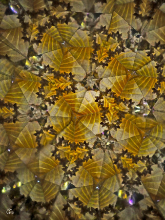  "The energy of the autumn wind..." "Energie podzimního větru..."