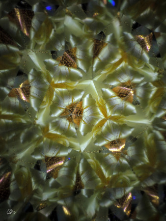  "Secret tenderness..." / "Tajné něžnosti..."