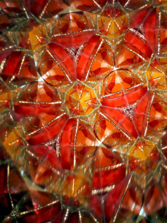 "Christmas themes from all sides..." / "Vánoční témata ze všech stran..."