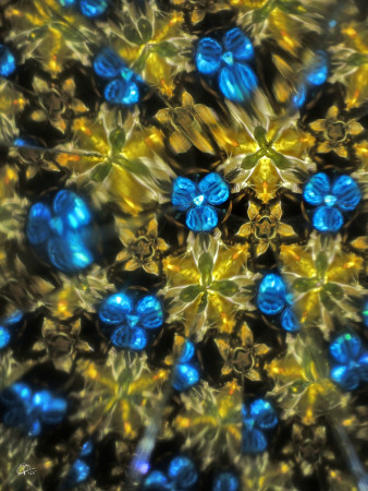 "The Joys of the Solstice..." / "Radosti Slunovratu..."