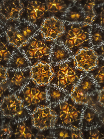 "Thought pathways of planned successes..."/ "Myšlenkové dráhy plánovaných úspěchů..."