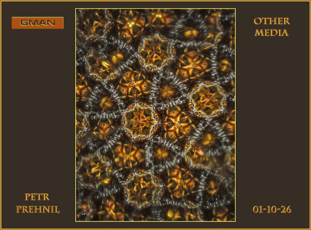 Award.../ Cena... "Get my art noticed" Fb profile • 10.01.2026