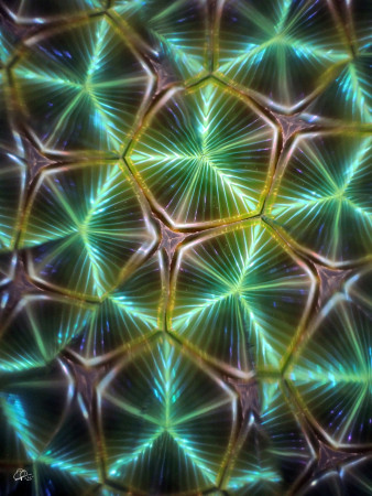 "Stars from vinyl records 1968..." / "Hvězdy z vinylových gramodesek 1968..."