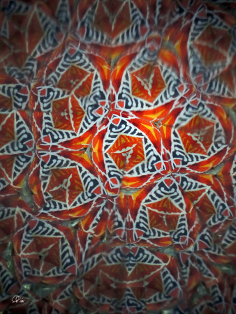 "The dances of tribal paintings..." / "Tance kmenových maleb..."